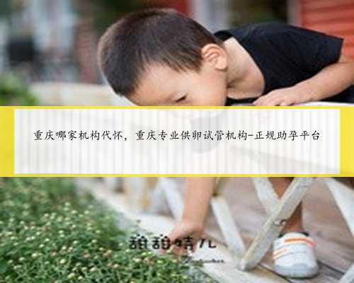 重庆哪家机构代怀，重庆专业供卵试管机构-正规助孕平台