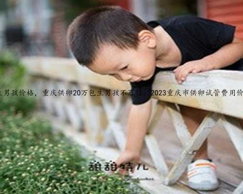 重庆代生男孩价格，重庆供卵20万包生男孩不可信，2023重庆市供卵试管费用价格