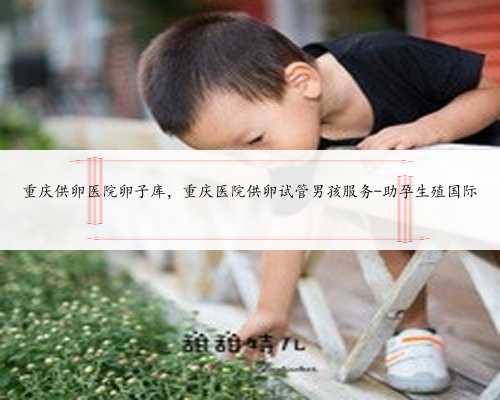 重庆供卵医院卵子库，重庆医院供卵试管男孩服务-助孕生殖国际
