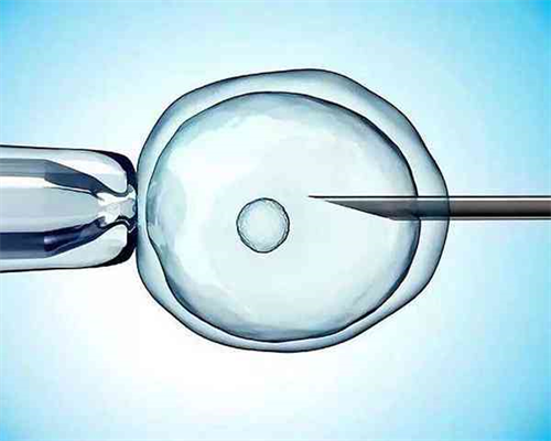 代孕哪里正规,盘点试管期间可以用来促进子宫内膜生长的药，补乐佳只占其一