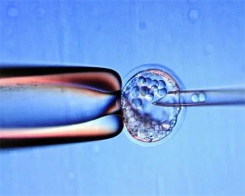 重庆能做试管婴儿的正规医院成功率