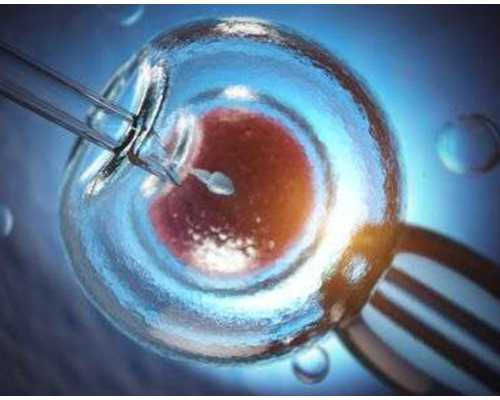 国内代孕联系电话,天津三代试管婴儿成功率及价格，5万起步！