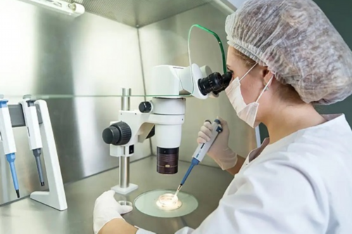 
              代孕宝宝吃奶才睡觉，需要把奶嘴戒掉吗？
            