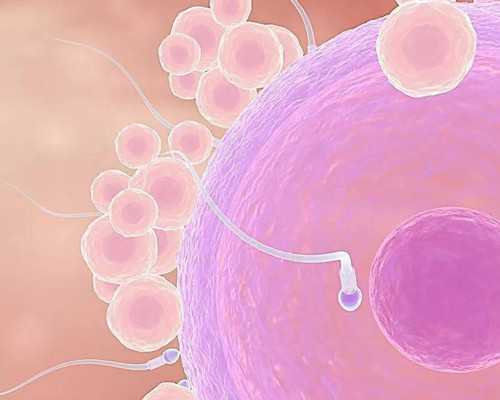 胚胎着床后4次生化，还有必要继续做试管移植吗?