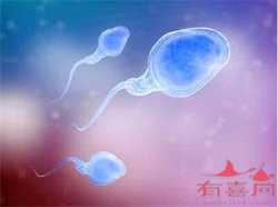 40岁高龄产妇北京代孕检查