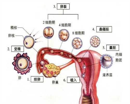 输卵管堵塞会有什么症状吗