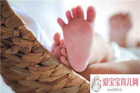 什么叫做代孕，借卵香港代生,非香港居民可以在香港冻卵吗