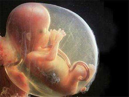 产科医生讲述孕1到9月胎儿在宫内发育过程，原来你家宝宝长这样