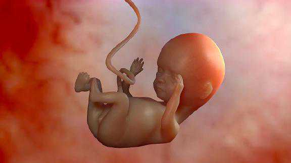 产科医生讲述孕1到9月胎儿在宫内发育过程，原来你家宝宝长这样