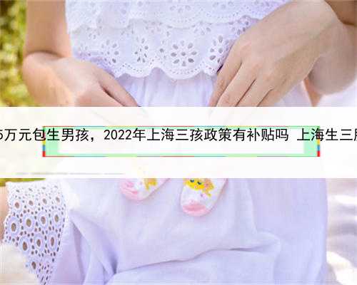 长江医院代孕，上海85万元包生男孩，2022年上海三孩政策有补贴吗 上海生三胎