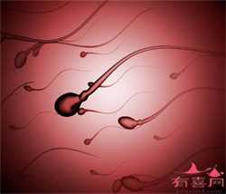 重庆哪里有代孕女孩，重庆有第三代试管吗？重庆哪家医院可以做三代试管？